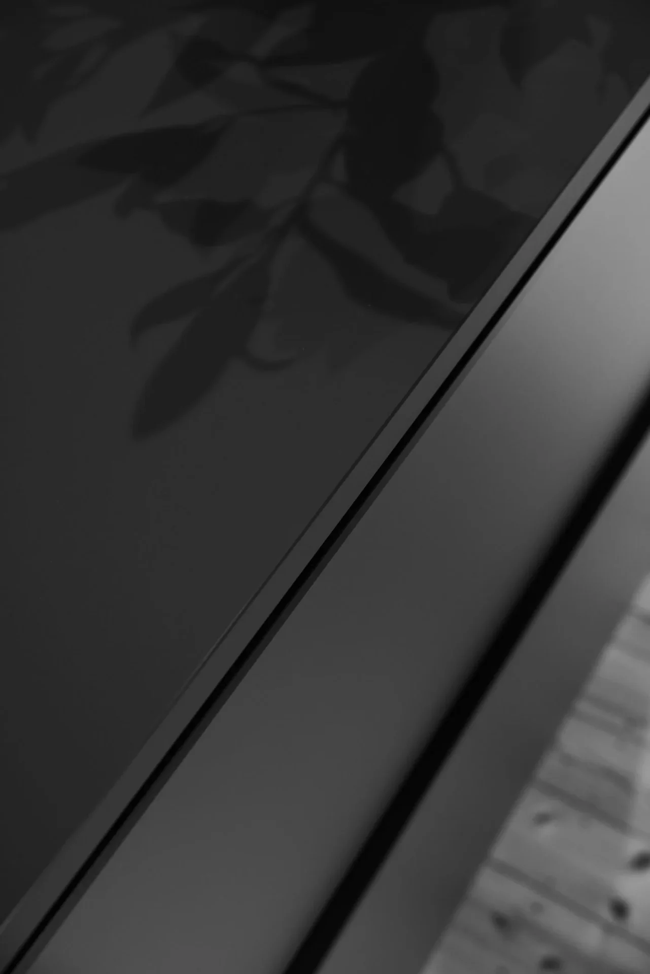 Materialdetail in der Alten Goldschmiede – schwarze Oberfläche mit Pflanzenschatten